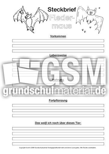 Fledermaus-Steckbriefvorlage-sw-2.pdf